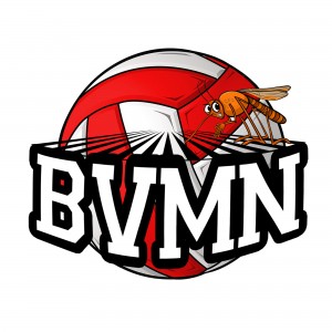BVM  Beach Volley Mantova